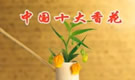 十大香花